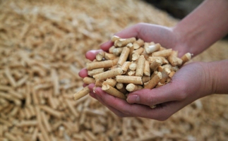 黟縣洪星鄉(xiāng)：“鋸末顆粒機(jī)的小顆?！睋Q來綠富雙贏