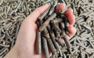 生物質(zhì)顆粒燃料公司前景怎么樣，木屑顆粒機的顆粒燃料賣給誰的？